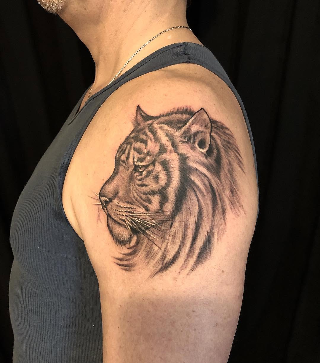 Tiger, 사자자리