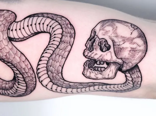 Snake