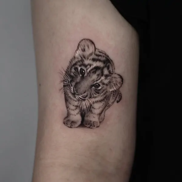 Tiger, 중국 호랑이