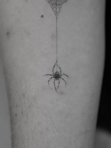 Animal, 단풍잎