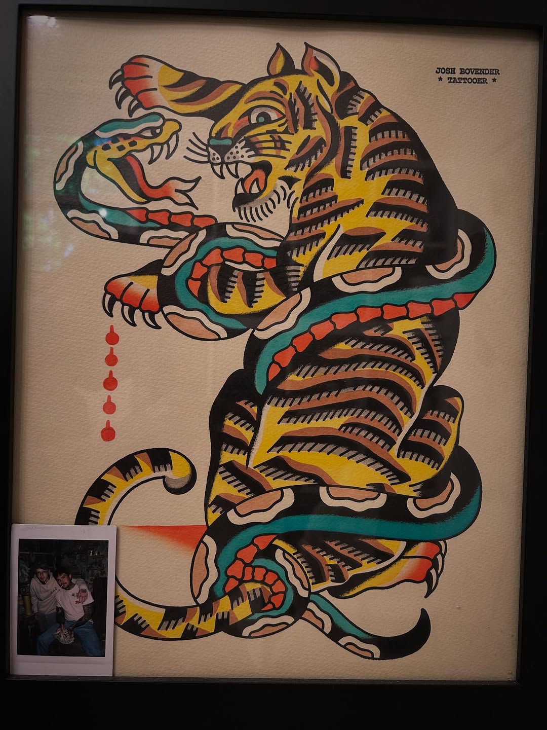 Tiger