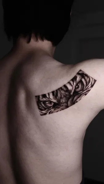 Tiger, 그래픽, 다루마, 이레즈미, 재규어