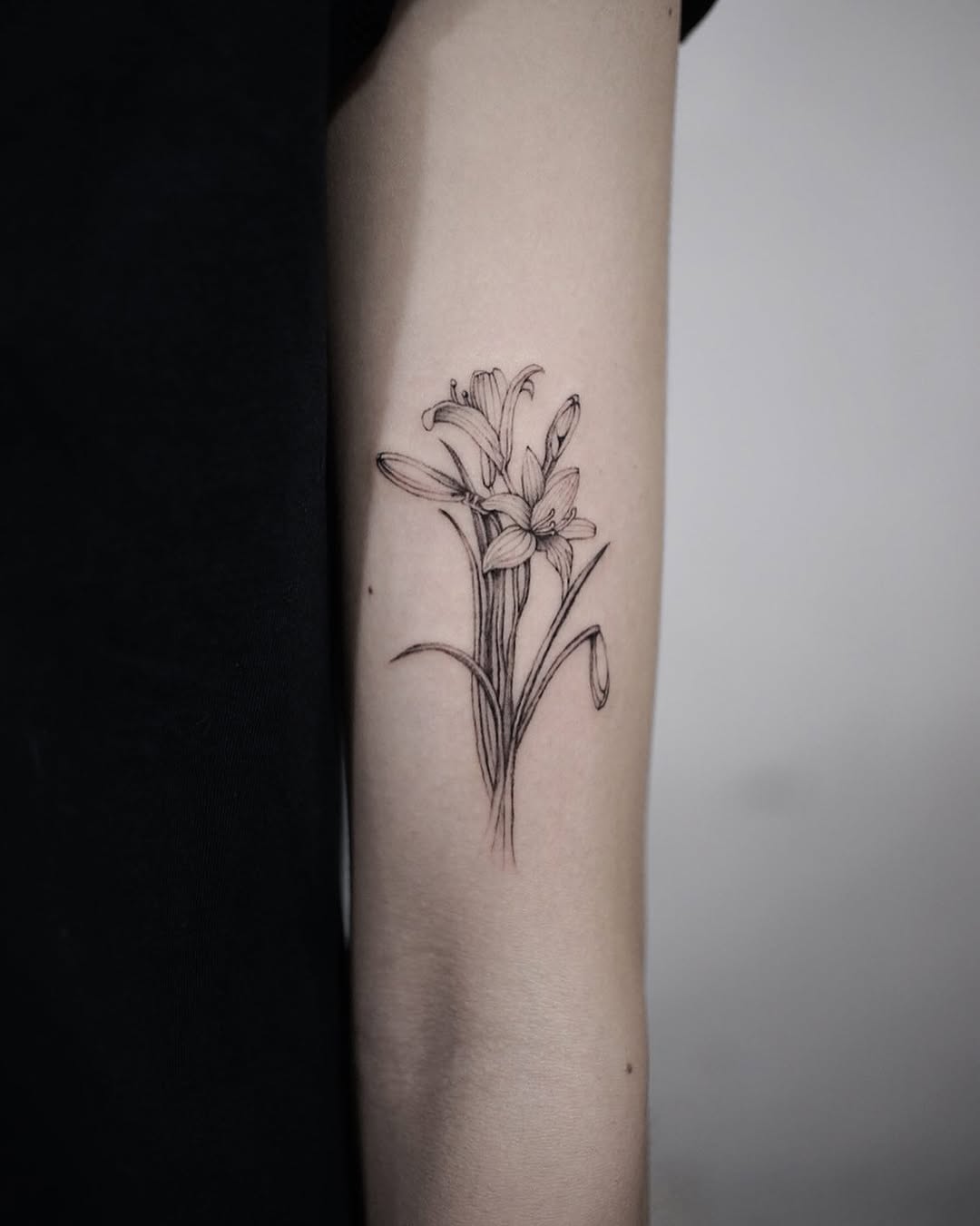 Flower, 튤립, 수선화, 아이리스, 카네이션, 모란