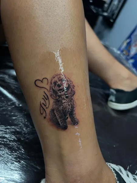 Animal, 원숭이
