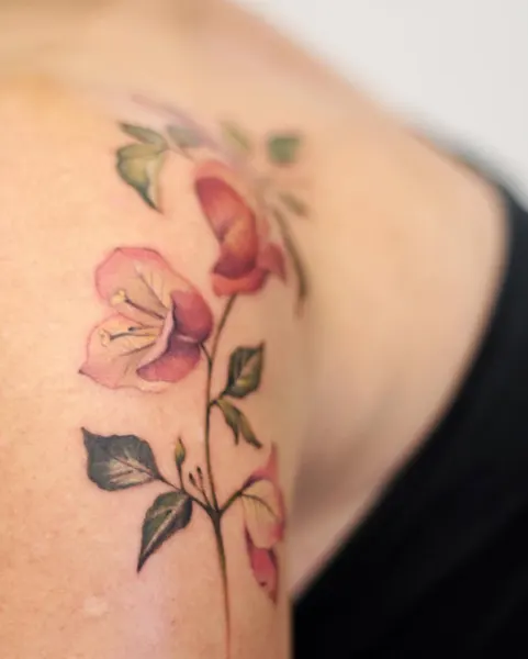 Flower, Rose, Nature