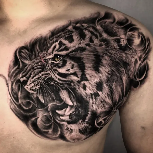 Tiger, 치타