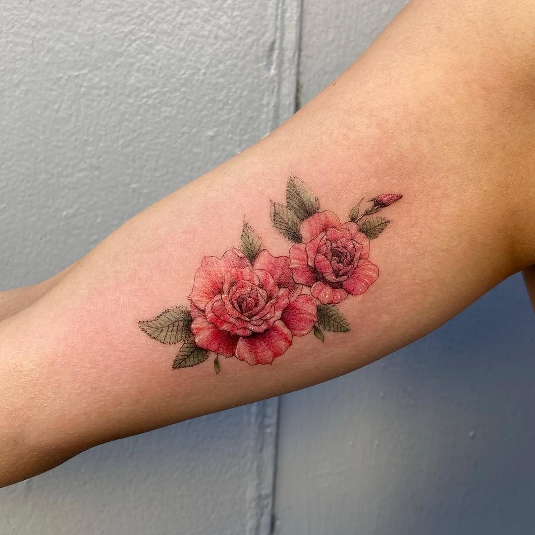 매화, Flower, 히비스커스, 벚꽃