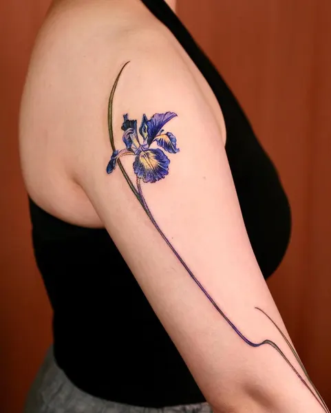 Flower, 난초, 아이리스, 백합