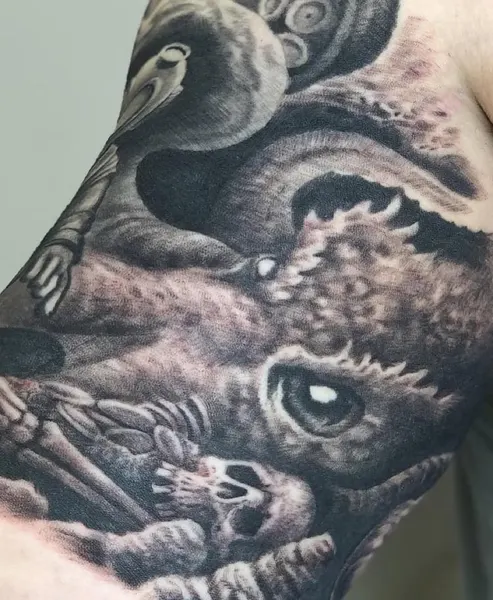 Animal