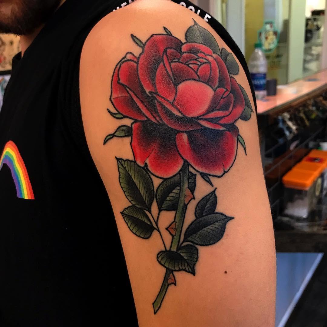 Flower, Rose, Nature