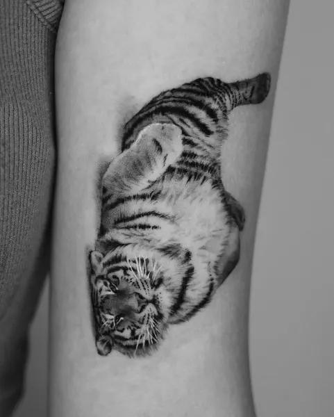 Tiger, 중국 호랑이, 일본 호랑이