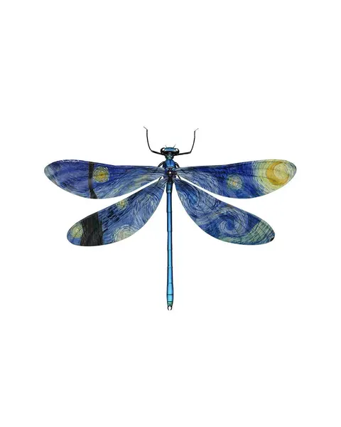 caotida
