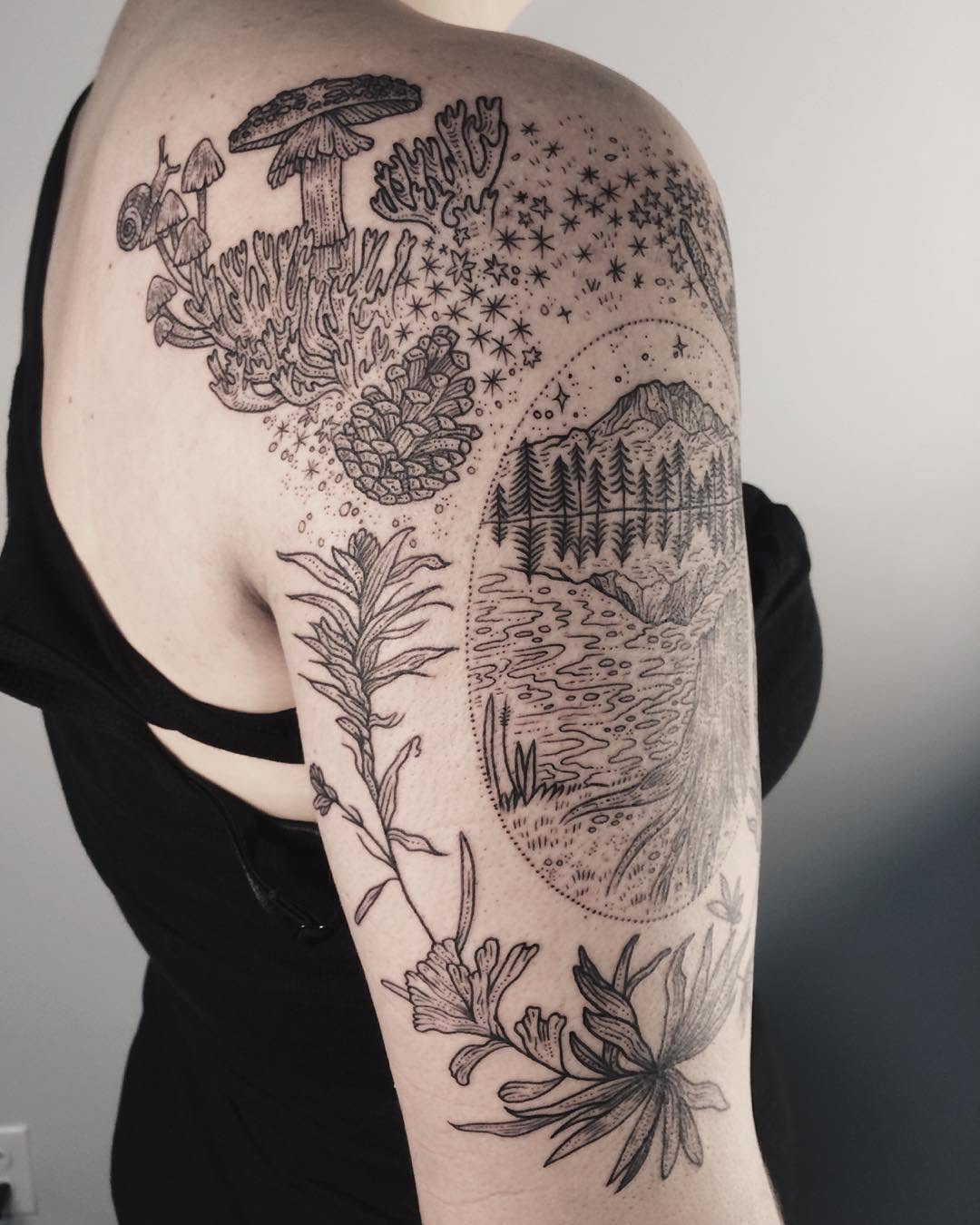 Flower, Rose, Nature