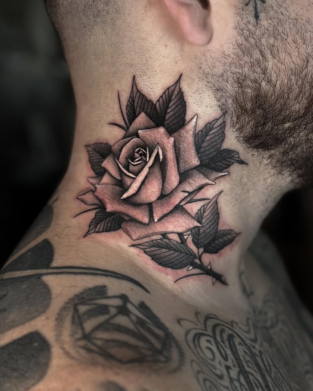 Flower, Rose, Nature