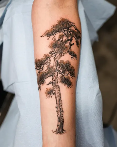 Nature, 고사리, 대나무, 소나무, 야자수, 나무, 허브, 나뭇가지, 올리브 가지