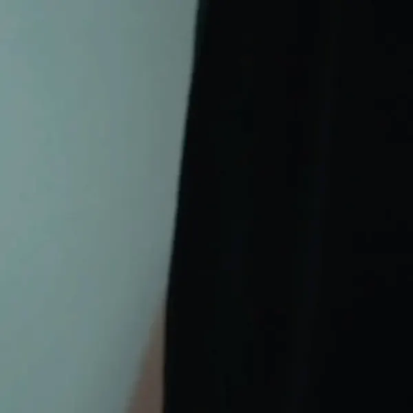 오징어