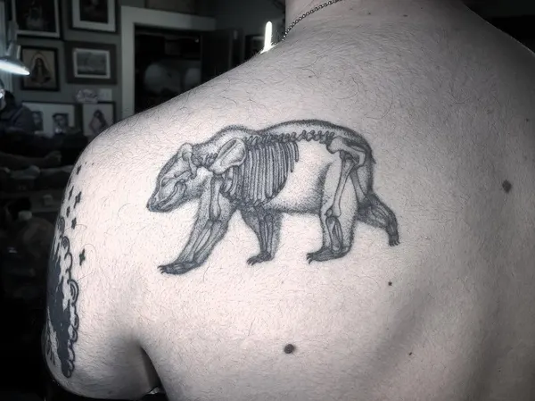 Animal, 코끼리