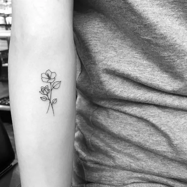 Flower, Rose