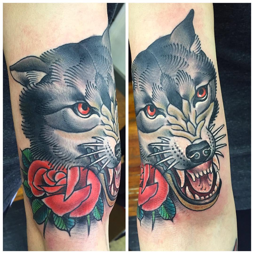 Tiger, Animal