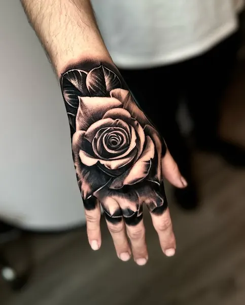 Flower, Rose
