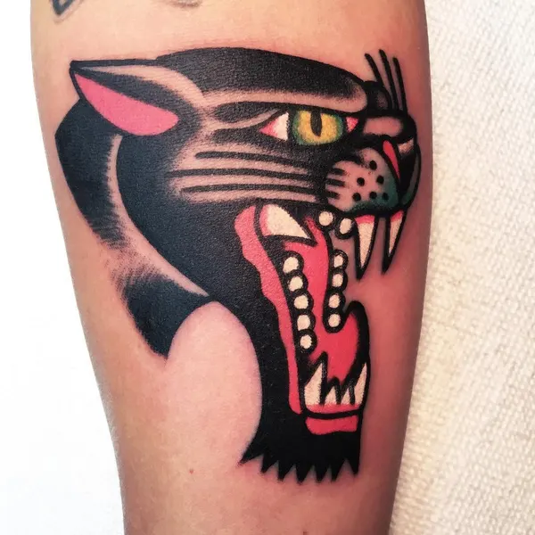 Tiger, Animal