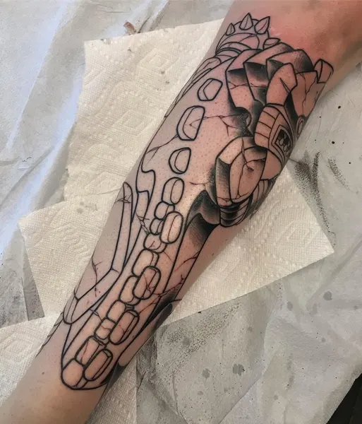 Dragon, 기사