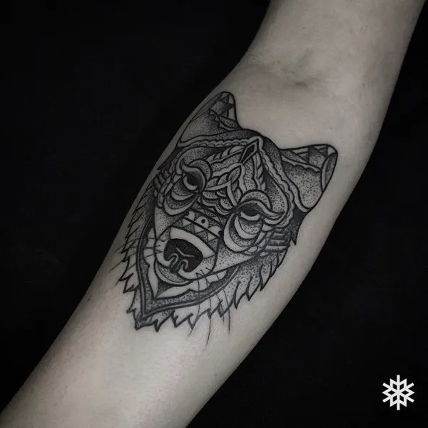 Animal, Tiger