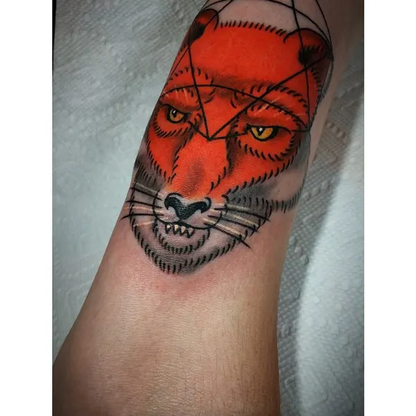 Tiger, Animal