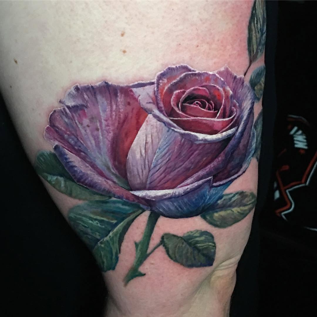 Flower, Rose