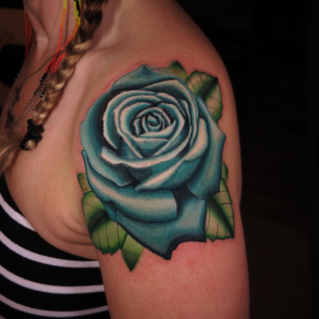 Flower, Rose, Nature