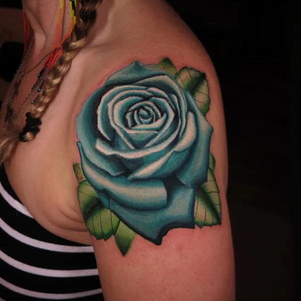 Flower, Rose, Nature