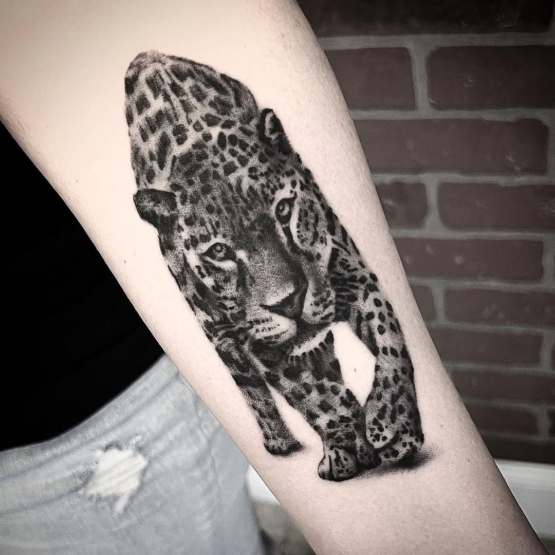 Animal, 표범, 재규어, 치타