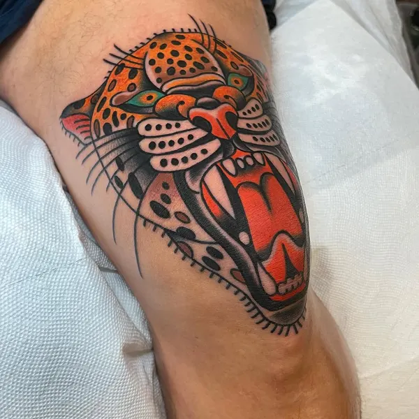 Tiger, Animal