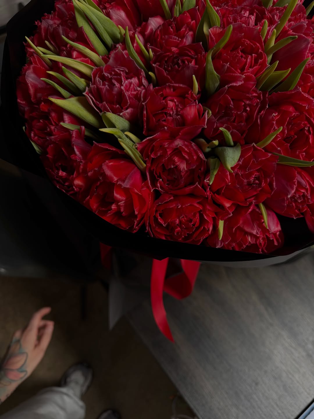 Flower, Rose, Nature, Dragon
