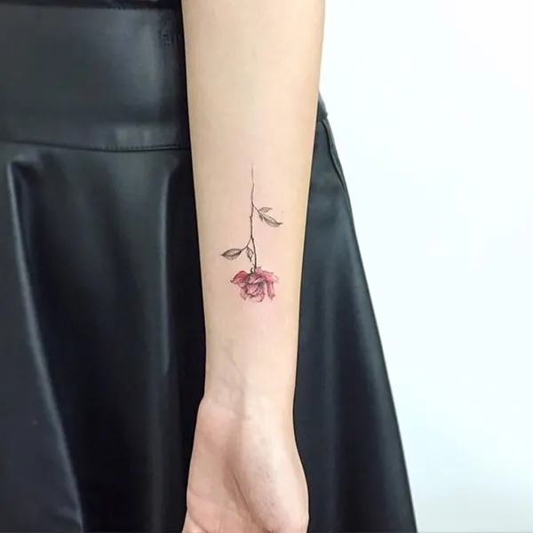 Flower, Rose