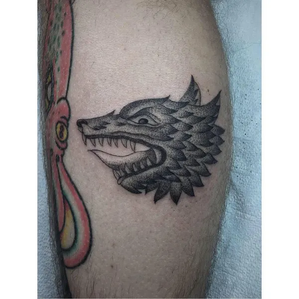 Dragon, 악어