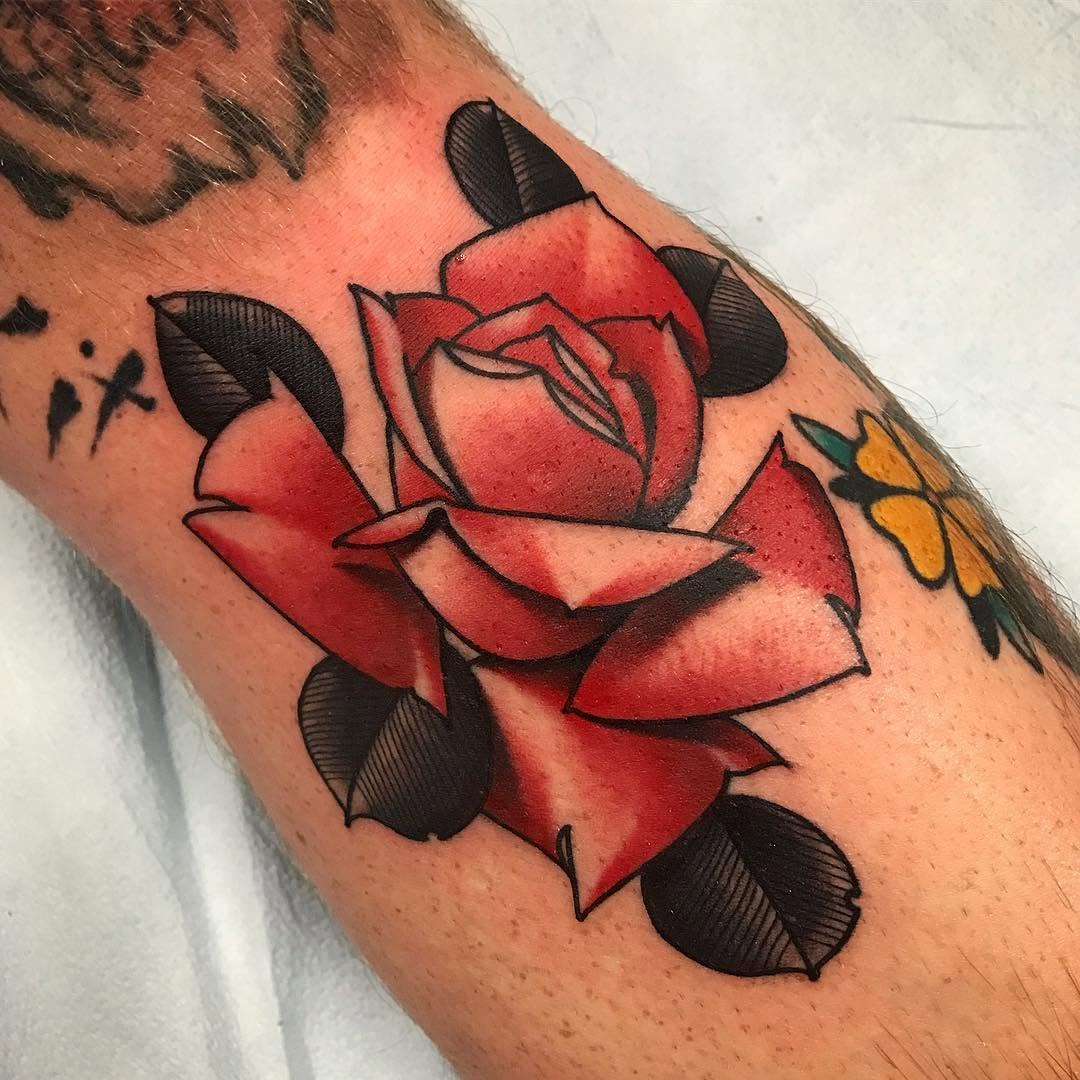 Flower, Rose