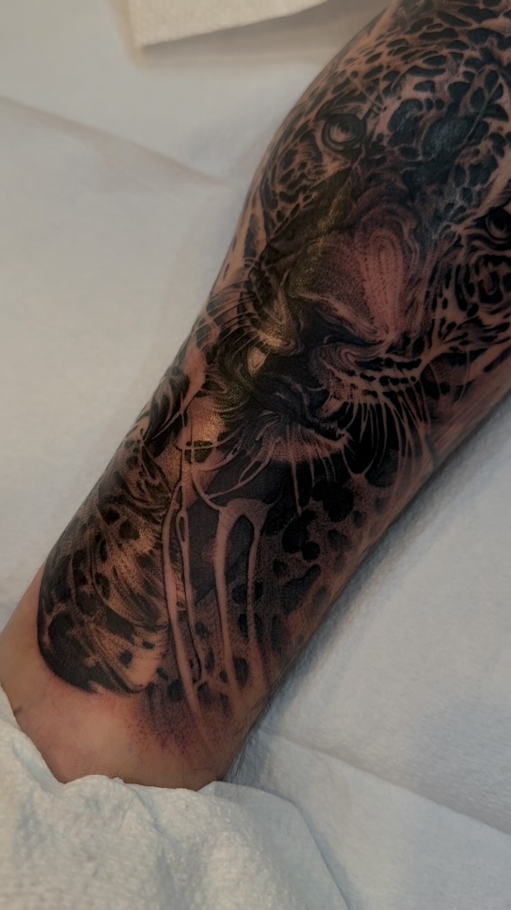 Tiger, Animal