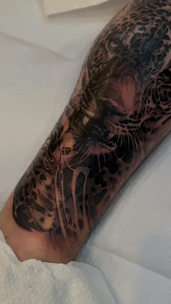 Tiger, Animal