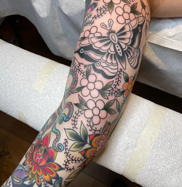 Animal, Nature, Flower, Rose