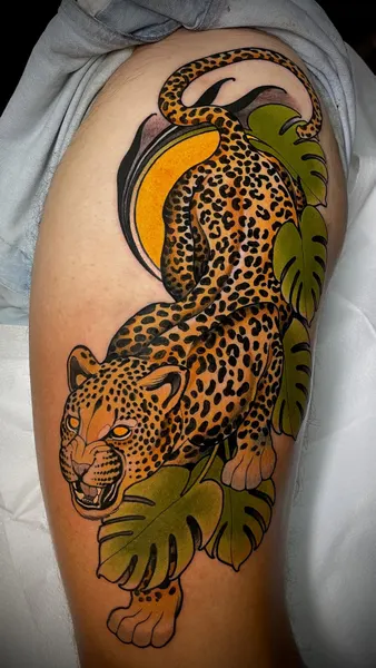 Tiger, Animal, 표범, 재규어