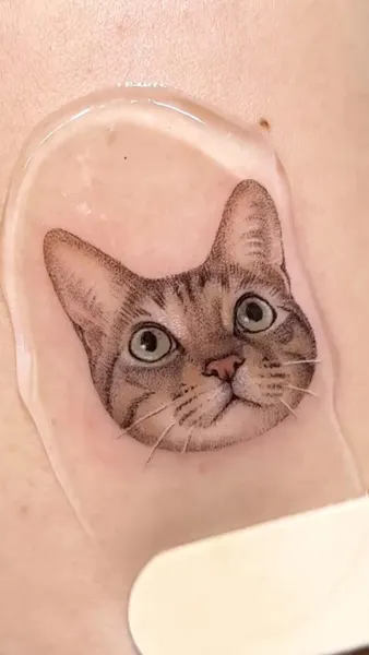 텐구, 고양이, 반려동물, 반려동물 추모, 함사, 여우 가면