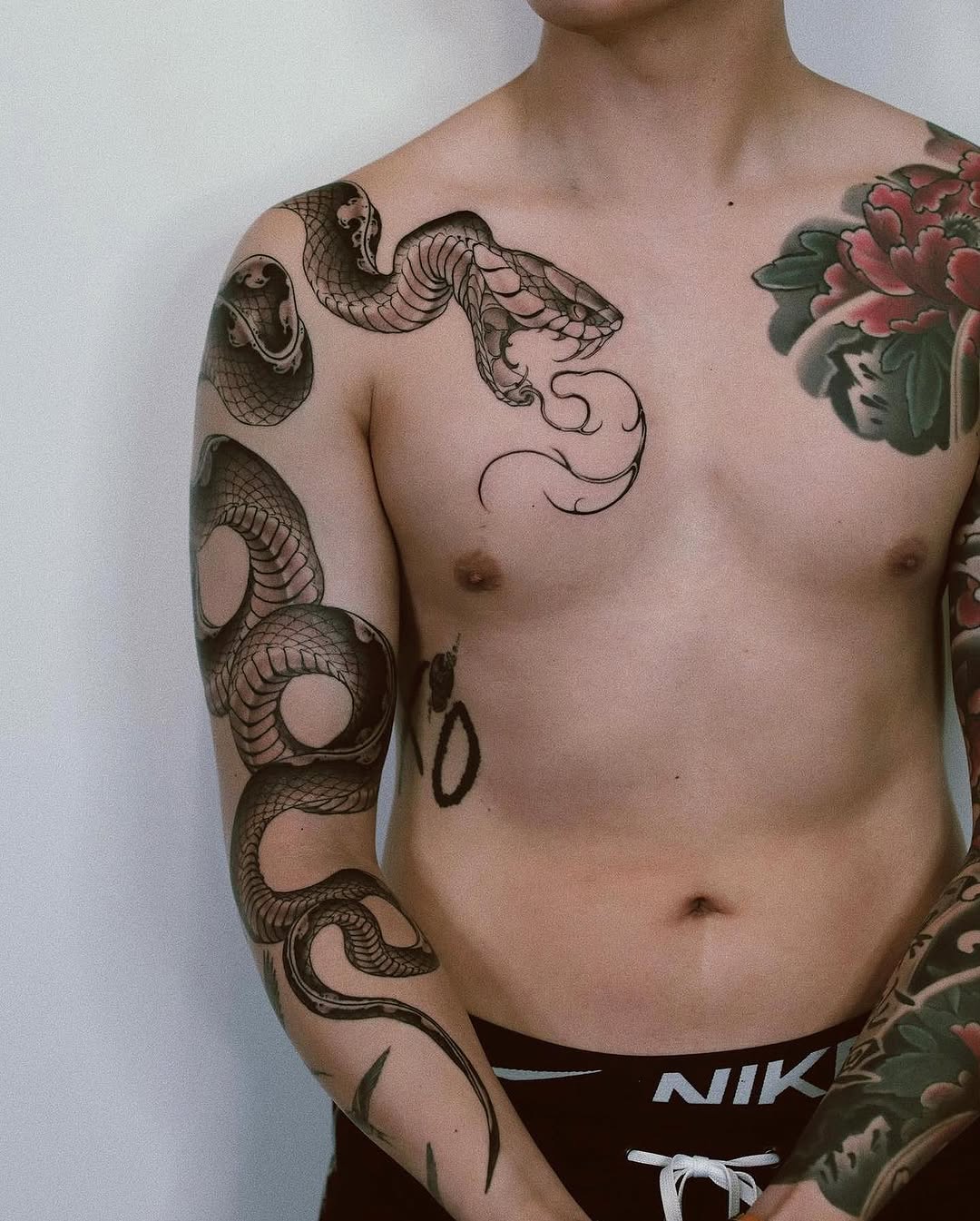 Dragon, Snake