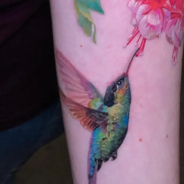 Flower, Animal, Nature