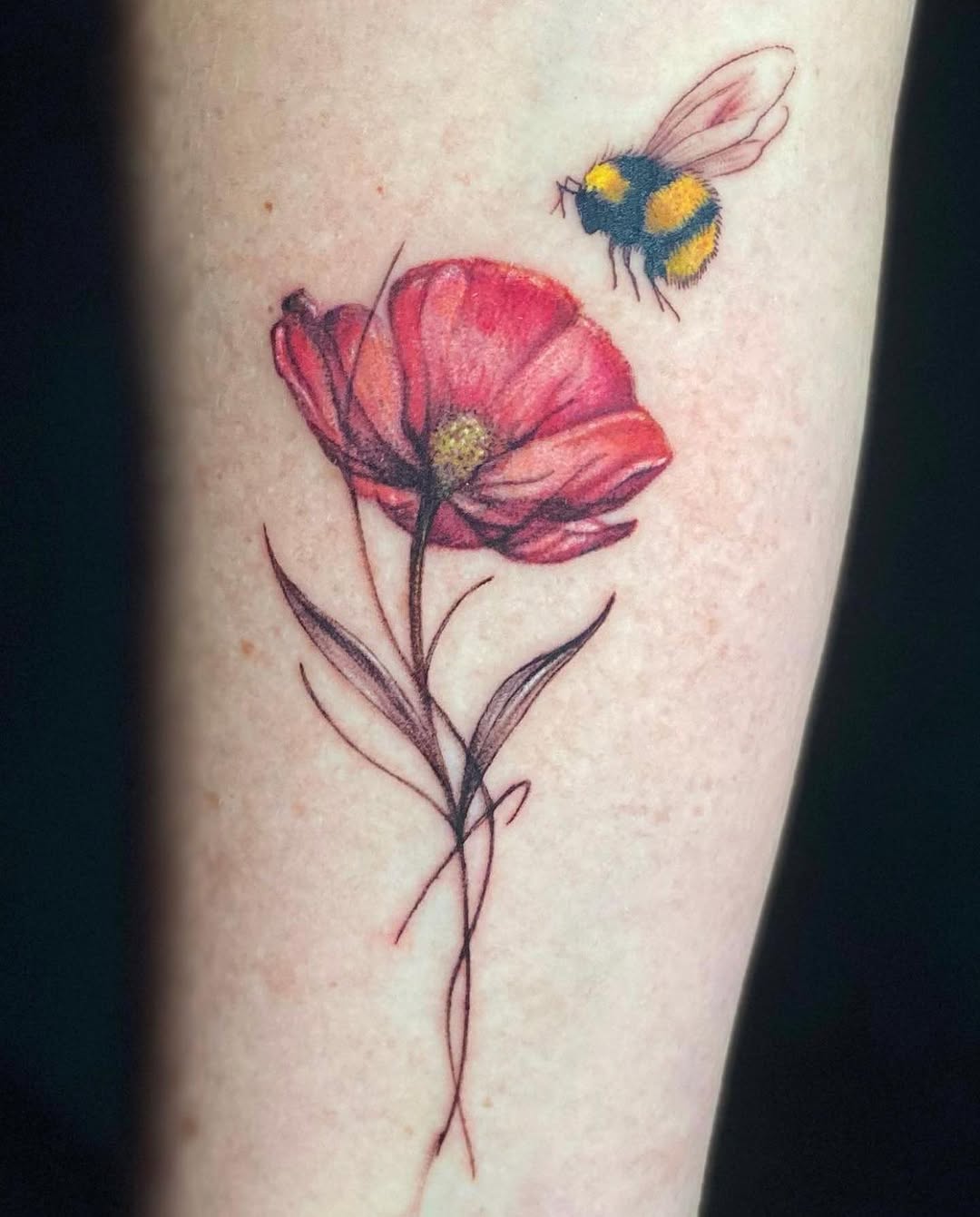 Flower, 튤립, 양귀비