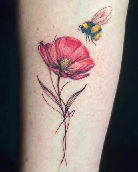 Flower, 튤립, 양귀비