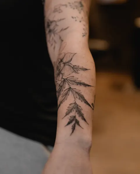 Animal, Nature