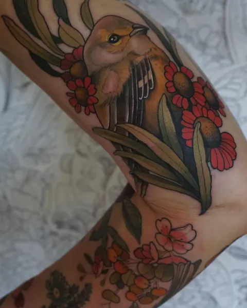 Animal