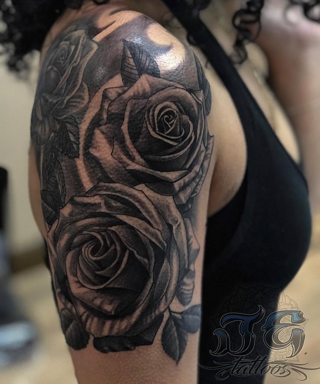 Flower, Rose, Nature