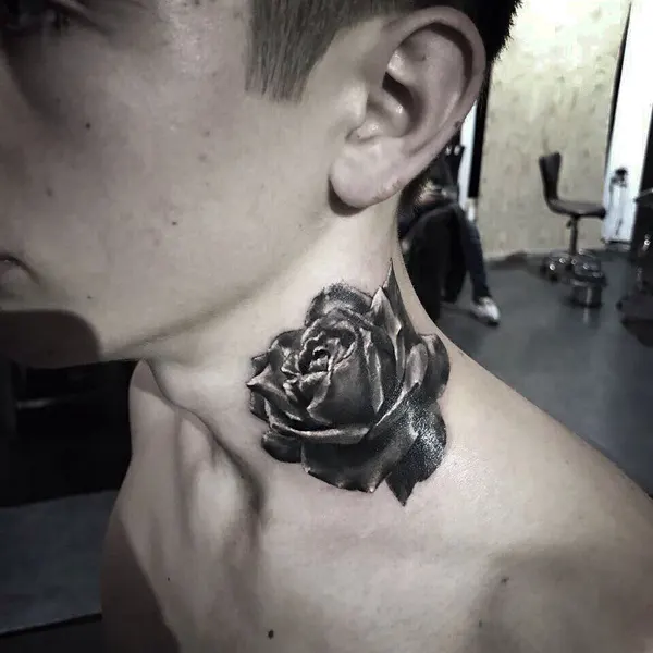Flower, Rose, Nature